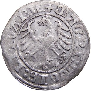 Sigismund I. der Alte, halber Pfennig 1513, Vilnius SEHR Selten (58)