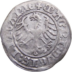 Sigismund I the Old, half-penny 1513, Vilnius VERY RARE (58)