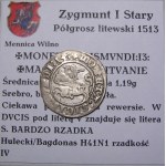 Zygmunt I Stary, półgrosz 1513, Wilno PRZEBITKA BARDZO RZADKI (58)