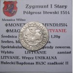 Zygmunt I Stary, półgrosz 1514, Wilno LIVTVANIE wręcz UNIKAT (59)