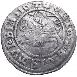 Sigismund I. der Alte, halber Pfennig 1518, Vilnius MONTEA SEHR Selten (60)