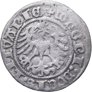 Sigismund I. der Alte, halber Pfennig 1518, Vilnius MONTEA SEHR Selten (60)