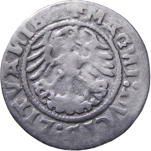 Sigismund I the Old, half-penny 1520, Vilnius SIGISMVND RZADKI (62)