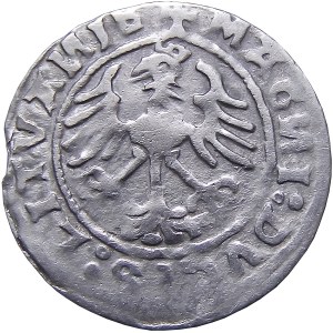 Sigismund I. der Alte, halber Pfennig 1520, Vilnius 5Z0 SEHR Selten (63)