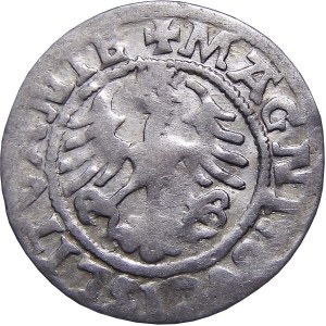 Sigismund I the Old, half-penny 1521, Vilnius VERY RARE (65)