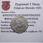 Sigismund I the Old, half-penny 1525, Vilnius RARE ANNUAL (66)