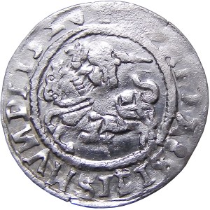 Sigismund I the Old, half-penny 1527, Vilnius VERY RARE OCCASIONAL (67)