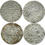 Sigismund II Augustus, flight of four half-pennies, Vilnius