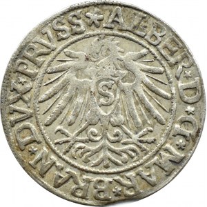 Prusy Książęce, Albrecht, grosz pruski 1538, Królewiec, piękny!