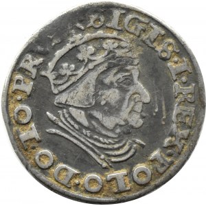 Sigismund I. der Alte, Trojak 1540 PRVS, Danzig