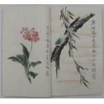 Album „Beijing Rongbao Zhai Xin Ji Shi Jian Pu”