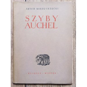 Międzyrzecki Artur • Szyby Auchel