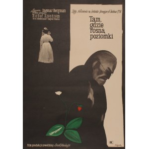 Plakat do filmu Tam gdzie rosną poziomki Reż. Ingmar Bergman Projekt Jerzy Flisak (1960)