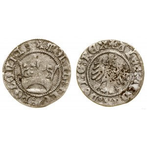 Polska, półgrosz koronny, bez daty (1502-1506), Kraków