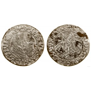 Prusy Książęce (1525-1657), grosz, 1544, Królewiec