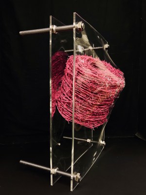Antoni Grabowski ( rocznik 1967), PINK WIRE
