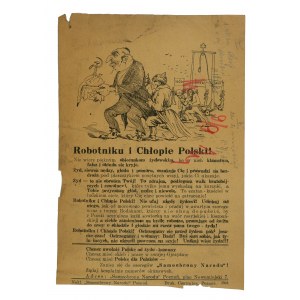 WORKER AND PEASANT OF POLAND! - Anti-Semitic leaflet of the organization Self-Defense of the Nation