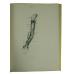 BARSCAY Jeno - Anatomie für den Künstler