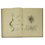 GIRDWOYŃ Michel - Anatomie und Physiologie der Biene / Anatomie et physiologie de l'abeille Par Michel Girdwoyn. Ouvrage avec douze planches en lithographie, Paris 1876 KOMPLETTE TABELLEN ! Sehr selten!