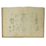 GIRDWOYÑ Michel - Anatomy and physiology of the bee / Anatomie et physiologie de l'abeille Par Michel Girdwoyn. Ouvrage avec douze planches en lithographie, Paris 1876 COMPLETE TABLES ! Very rare !