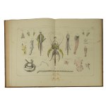 GIRDWOYŃ Michał - Anatomia i fizjologia pszczoły / Anatomie et physiologie de l'abeille Par Michel Girdwoyn. Ouvrage avec douze planches en lithographie, Paris 1876r. KOMPLET TABLIC ! Bardzo rzadkie!