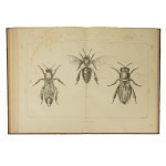 GIRDWOYŃ Michel - Anatomie und Physiologie der Biene / Anatomie et physiologie de l'abeille Par Michel Girdwoyn. Ouvrage avec douze planches en lithographie, Paris 1876 KOMPLETTE TABELLEN ! Sehr selten!