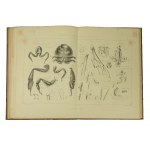 GIRDWOYŃ Michel - Anatomie und Physiologie der Biene / Anatomie et physiologie de l'abeille Par Michel Girdwoyn. Ouvrage avec douze planches en lithographie, Paris 1876 KOMPLETTE TABELLEN ! Sehr selten!