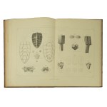 GIRDWOYŃ Michał - Anatomia i fizjologia pszczoły / Anatomie et physiologie de l'abeille Par Michel Girdwoyn. Ouvrage avec douze planches en lithographie, Paris 1876r. KOMPLET TABLIC ! Bardzo rzadkie!