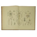 GIRDWOYŃ Michał - Anatomia i fizjologia pszczoły / Anatomie et physiologie de l'abeille Par Michel Girdwoyn. Ouvrage avec douze planches en lithographie, Paris 1876r. KOMPLET TABLIC ! Bardzo rzadkie!