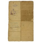 Sammlung verschiedener handschriftlicher Dokumente aus dem 19. Jahrhundert [Metriken, Urkunden, Fallbeschlüsse]. Satz von 11 Dokumenten
