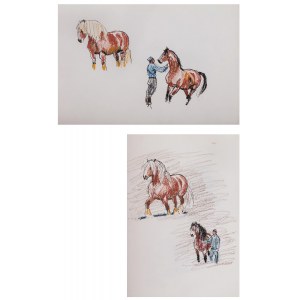 Ludwik Maciąg (1920 Krakow - 2007), Horses (pair of drawings)