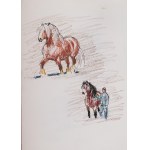 Ludwik Maciąg (1920 Krakow - 2007), Horses (pair of drawings)