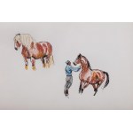 Ludwik Maciąg (1920 Krakow - 2007), Horses (pair of drawings)