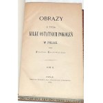FALKOWSKI - OBRAZY Z ŻYCIA KILKU OSTATNICH POKOLEŃ W POLSCE. t.1-5 [komplet w 5 wol.] skóra Napoleon