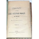 FALKOWSKI - OBRAZY Z ŻYCIA KILKU OSTATNICH POKOLEŃ W POLSCE. t.1-5 [komplet w 5 wol.] skóra Napoleon