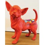 Hannes d'Haese, Chihuahua
