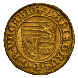 Hungary - Ladislaus V. (1453-1457) Goldgulden Neustadt