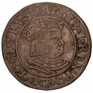 Poland - Zygmunt I Stary. Grosz / Groschen 1530, Torun / Thorunensis