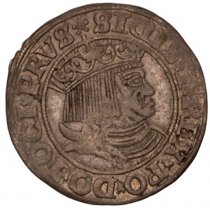 Poland - Zygmunt I Stary. Grosz / Groschen 1531 Torun / Thorunensis