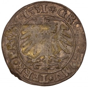 Poland - Zygmunt I Stary. Grosz / Groschen 1531 Torun / Thorunensis