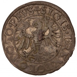 Poland - Zygmunt I Stary. Grosz / Groschen 1539, Elblag / Elbing