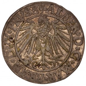 Poland - Preußen / COURLAND - Albrecht Hohenzollern. Grosz (Groschen) 1540 Konigsberg