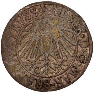 Poland - Preußen / COURLAND - Albrecht Hohenzollern. Grosz (Groschen) 1541 Konigsberg