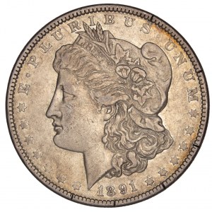 United States - Morgan Dollar 1891