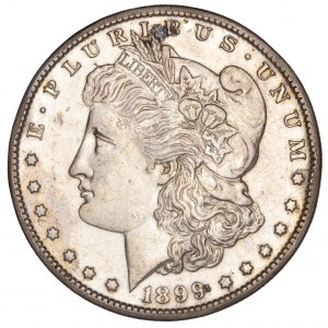 United States - Morgan Dollar 1899 S