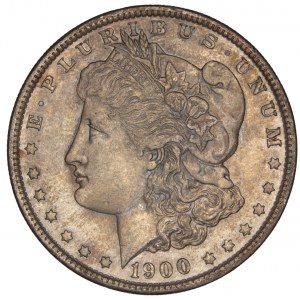 United States - Morgan Dollar 1900