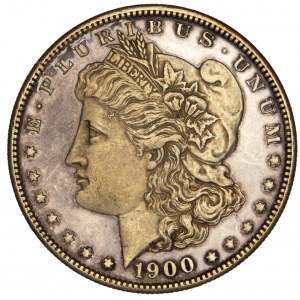 United States - Morgan Dollar 1900