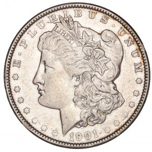 United States - Morgan Dollar 1901