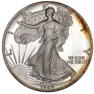 United States - American Silver Eagle - Walking Liberty 1989 S Proof