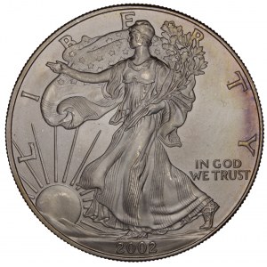 United States - American Silver Eagle - Walking Liberty 2002